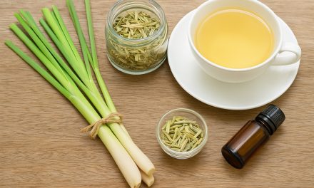 Lemongrass: The Zesty Wonder Herb You Didn’t Know You Needed