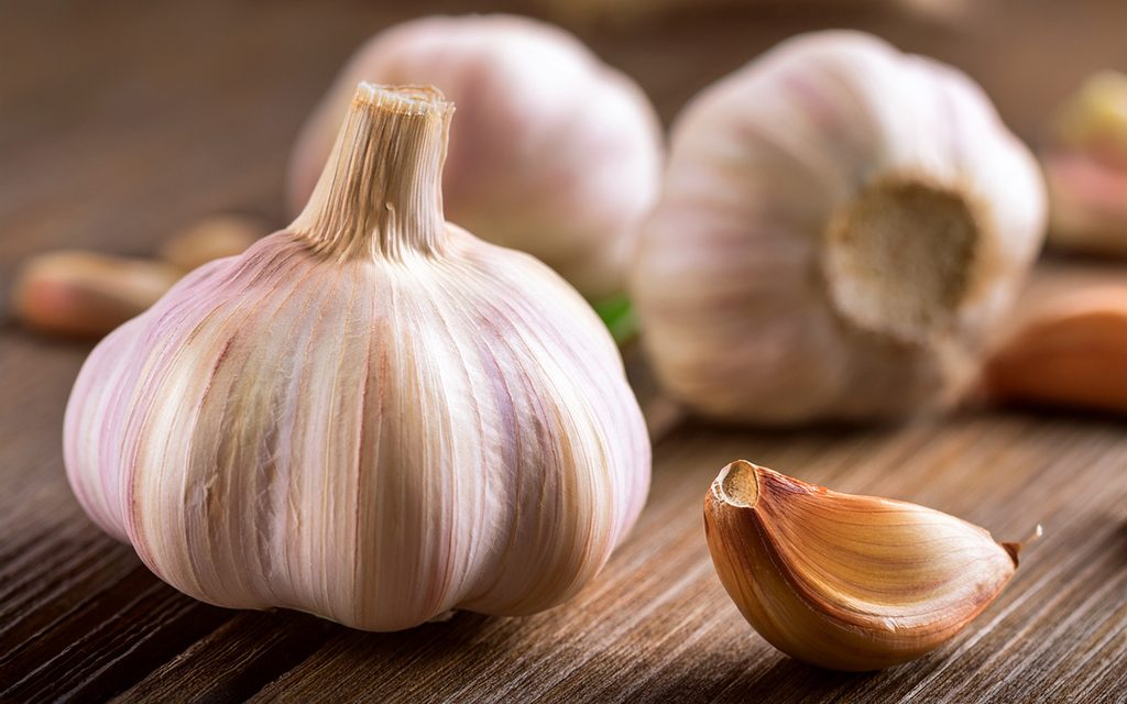 Garlic: The Mighty Little Bulb That Packs a Punch