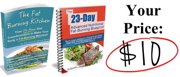 A Complete Review of The Fat Burning Kitchen: Discover the Secret to Lasting Weight Loss