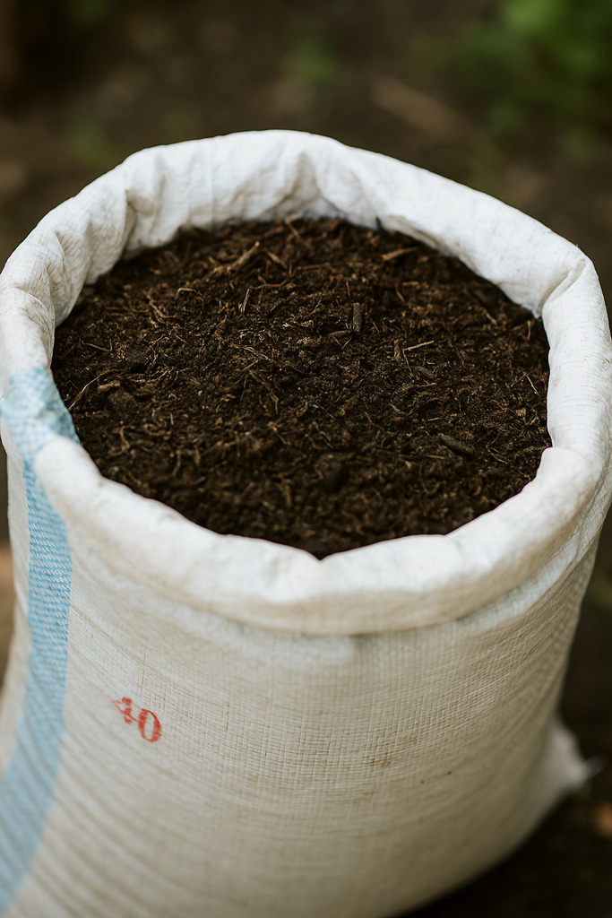 A-small-compost-pile-or-organic-fertilizer-in-use-Baja-komposorganik-dalam-guni-atau-polibeg